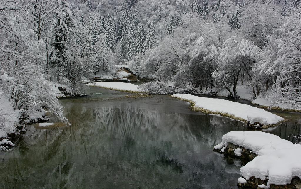 Apartments Zorc Bohinj Exterior foto